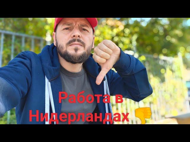 Работа в Нидерландах Мой опыт на DHL europe travel vlog