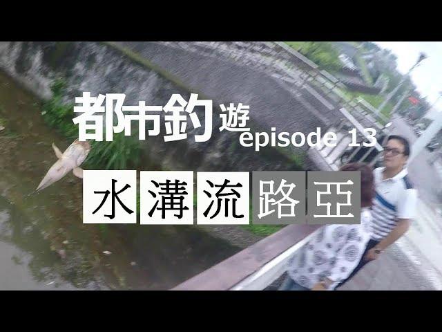 EP13-Snake head fishing in a city park Taipei Taiwan