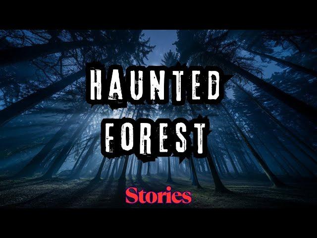 Scary Stories from Haunted Forest Alive | 5 Tales from Pine Barrens Woods
