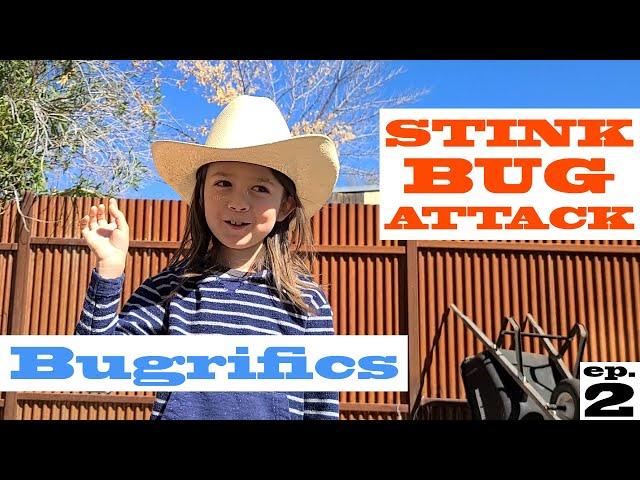 Bugrifics - Stink Bug Attack!!!