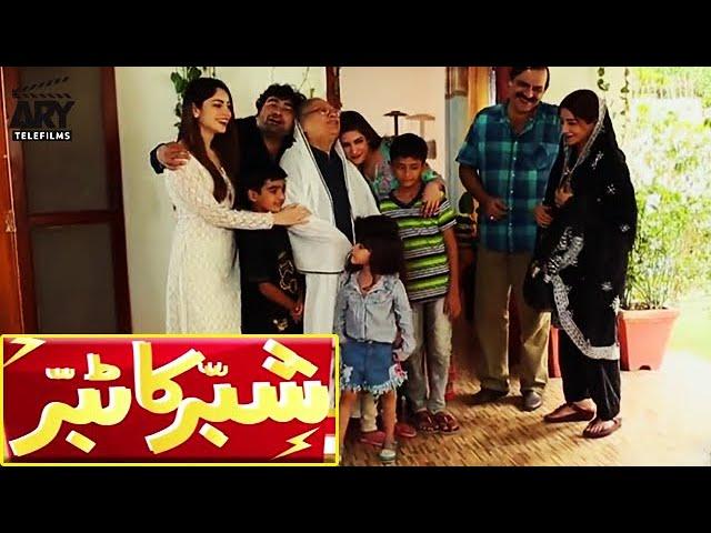 Shabbar Ka Tabbar | Short Film | Love Story | Danish Nawaz & Neelum Muneer | ARY Telefilms