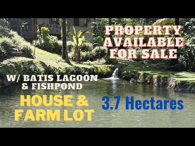 #vlog123 House & Farm Lot w/ Batis Lagoon Available For Sale (3.7 Has Property)