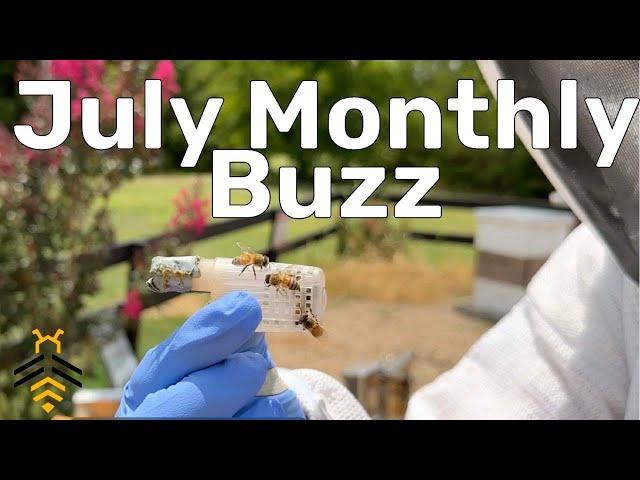 July 2024 Monthly Buzz