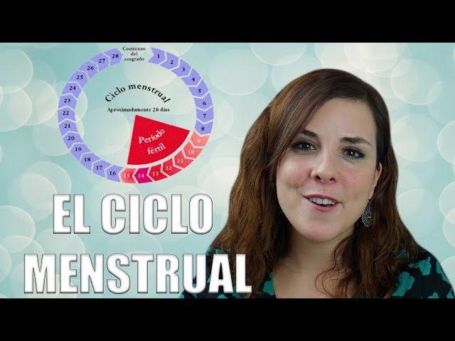 EL CICLO MENSTRUAL:  fases del ciclo, ovulación y menstruación