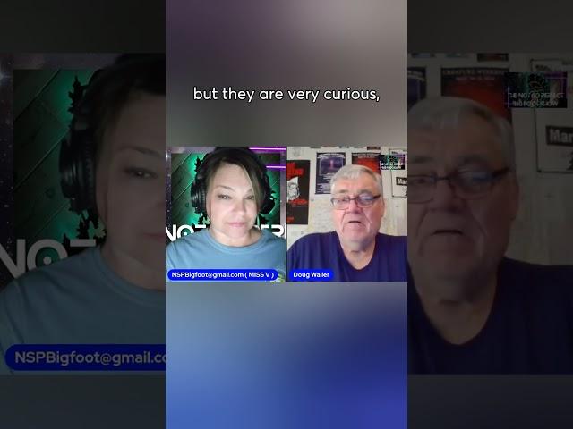 Bigfoot's Unusual Interest in Women and Children: Eyewitness Revelations!