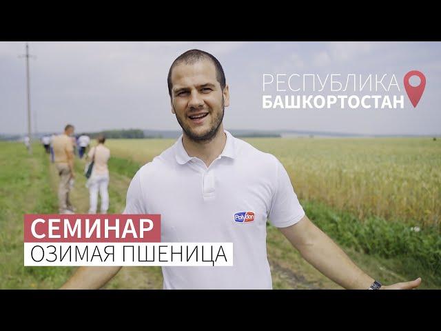 Семинар | Озимая пшеница | Республика Башкортостан | Баш-Фунгицид