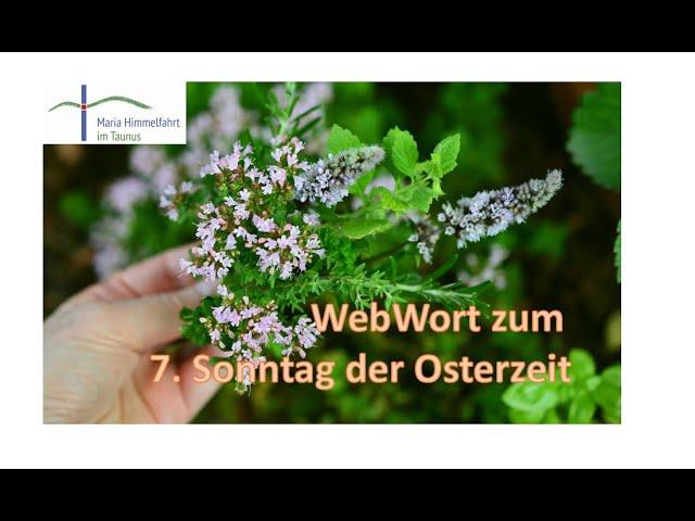 WebWort zum 7. Sonntag der Osterzeit