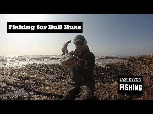 Fishing for Bull Huss