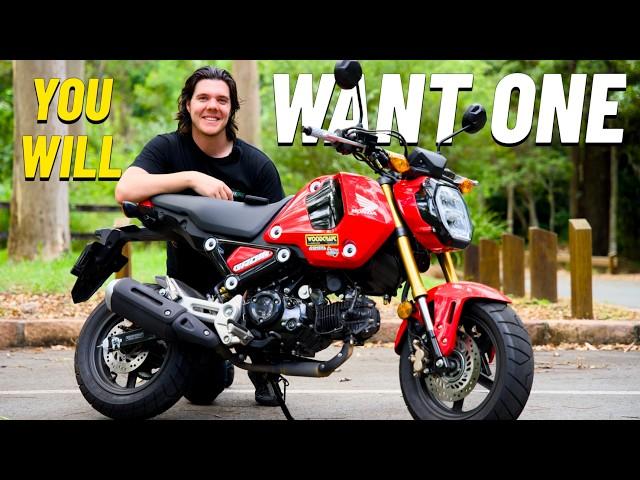 Honda Grom Review | Can this tiny bike KEEP UP?