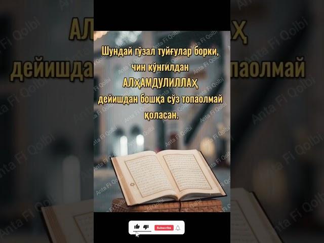 #qalb #quran #alloh #allohualloh #like #koment #shorts #trend #new #rek top #2025 #music