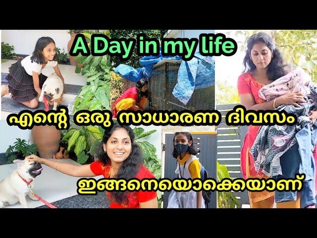 A Day In my life | എന്റെ ഒരു സാധാരണ ദിവസം ഇങ്ങനെ ഒക്കെ ആണ് |Lifestyle| Reenas greenHome | Indianlife