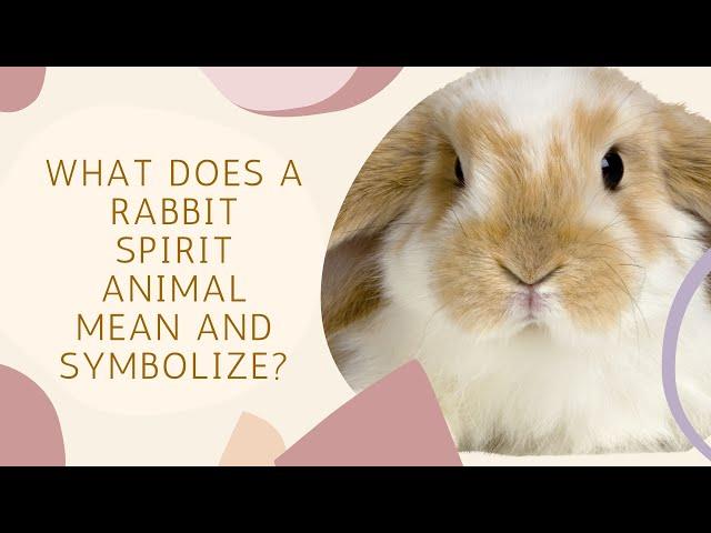 What Does a Rabbit Spirit Animal Mean and Symbolize?