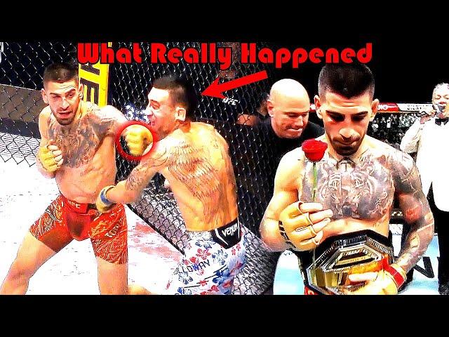 INSANE KNOCKOUT!!! What Really Happened (Ilia Topuria vs Max Holloway)