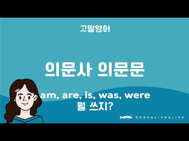 [70] 2권 Unit 29 의문사 의문문 만들 때 is 쓸까? are를 쓸까? be동사 주의할 점