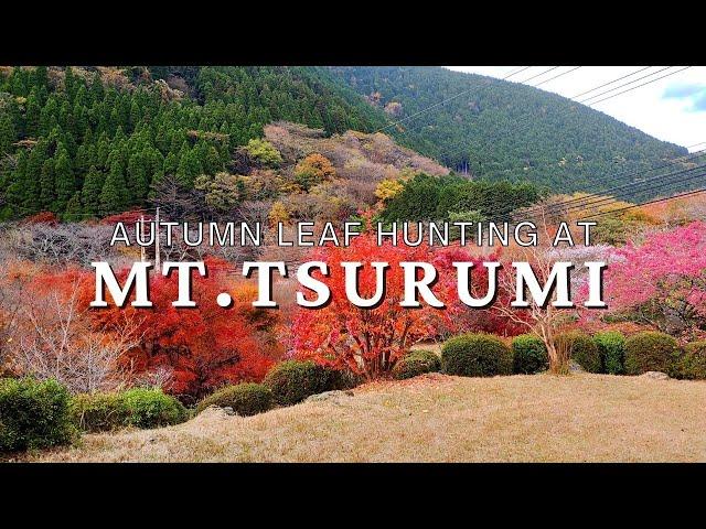 Mount Tsurumi and Beppu Ropeway in Autumn, 2022 | Beppu, Oita | Japan Vlog