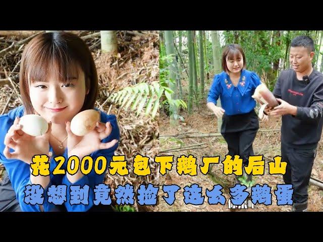 花2000元包下鹅厂的后山，没想到竟然捡了这么多鹅蛋 #户外抓鱼 #户外捕鱼 #小飞哥抓鱼 #乡村生活 #农村生活
