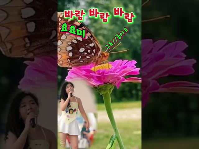 섹시디바 요요미
