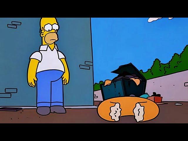 I Don't Need Your Pity (The Simpsons)