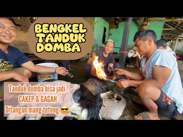 BENGKEL TANDUK DOMBA, AHLINYA MEMPERCANTIK TANDUK DOMBA 