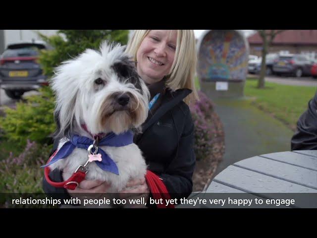 Canine befrienders South West Yorkshire Partnership NHS Foundation Trust