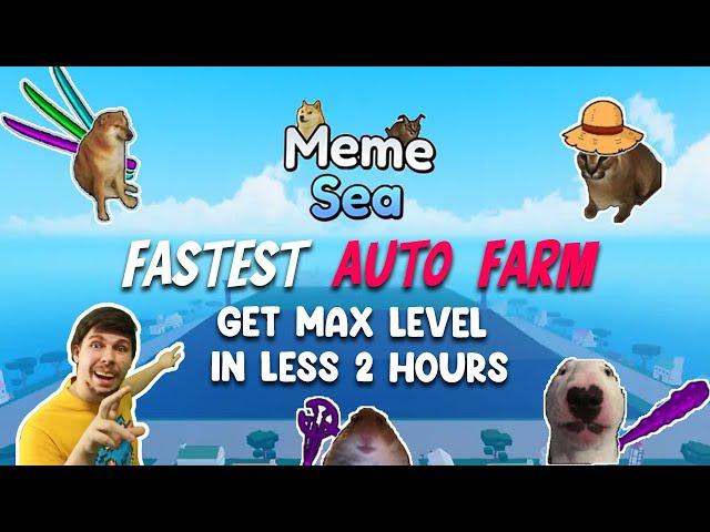 Meme Sea Script Fastest Auto Farm Level | Elgato Hub On Top