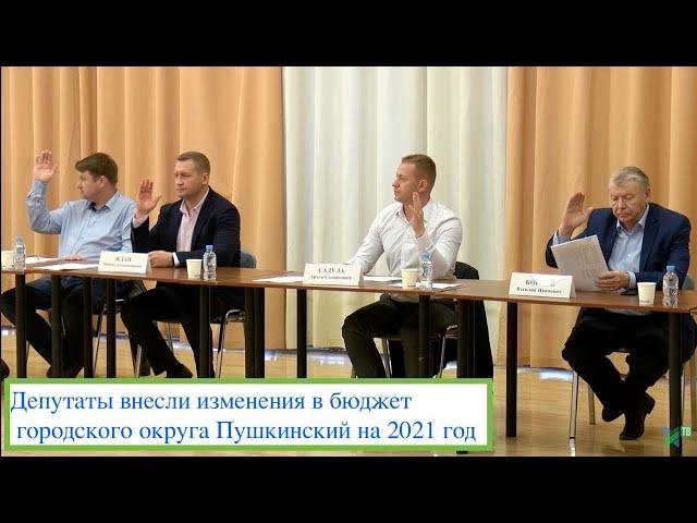 Депутаты внесли изменения в бюджет городского округа Пушкинский на 2021 год