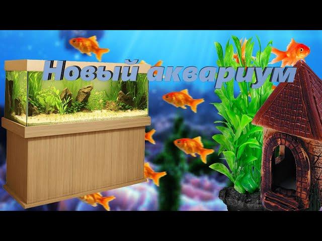 Обзор моих Аквариумов. Сапфировые попугаи. Цихлиды