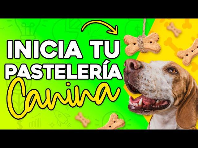 COMO INICIAR Una PASTELERÍA CANINA Y FELINA Paso a Paso ️