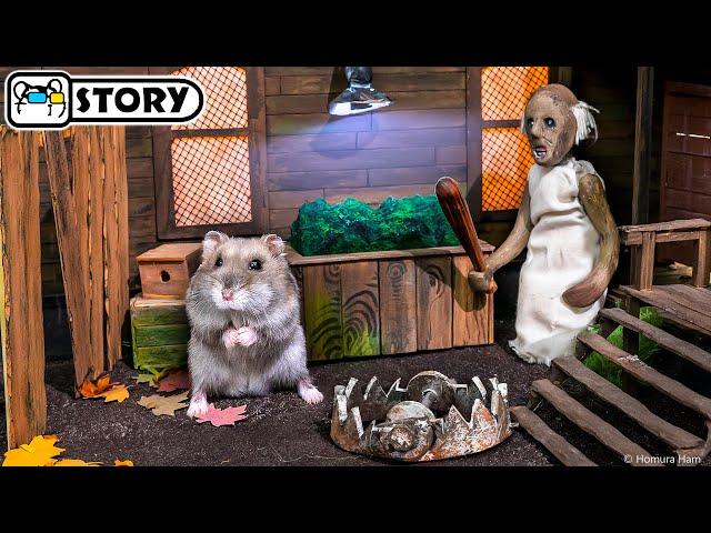 Hamster Escape from the Maze in Granny's Scary House  Homura Ham Pets