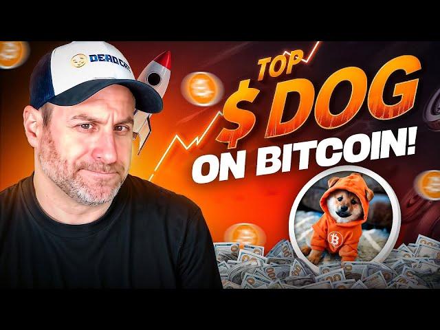 How to Buy $DOG | The #1 Bitcoin Rune & Why It Will Flip $DOGE