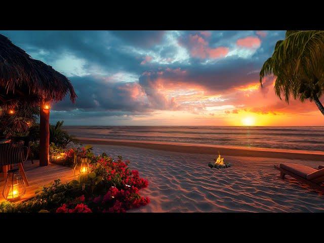 Chill Out In Summer Tropical Beach Bar with Relaxing Sea Waves, Birds Sounds Sunset Ambience