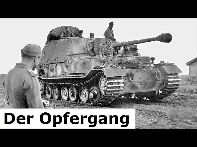 Kursk - Unternehmen Zitadelle und die Fehler / 1943