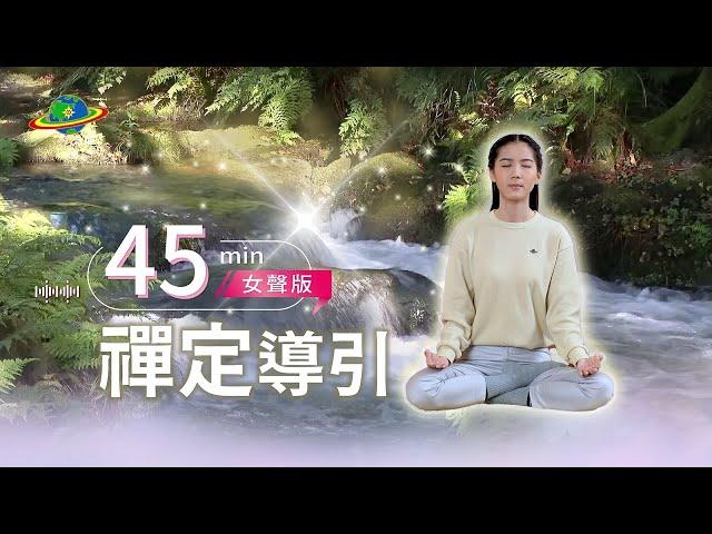 45min陪你靜心禪定｜趁午休打坐一下，讓大腦充電｜最終極的冥想是禪定