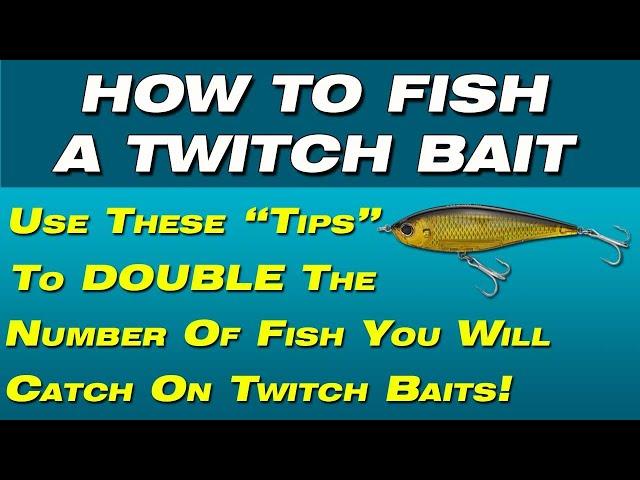 How To Fish A Twitch Bait - Tips To Fish A Twitch bait from a pro. Catch more fish on twitch baits