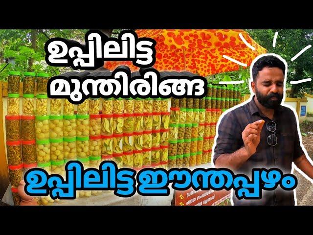 ഉപ്പിലിട്ട മുന്തിരിങ്ങ | Salted Vegetables | Street Food Life | Kisho Rudran | Malayalam Food Vlog |