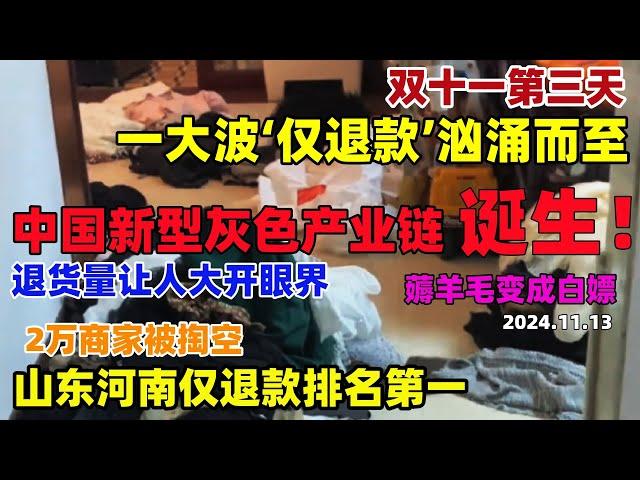 双十一刚过完！仅退款来了！退货量让人大开眼界，2万商家被掏空，薅羊毛白嫖党成新型灰色产业链，山东河南仅退款排名第一#仅退款#双十一退货量#天猫#淘宝#薅羊毛#中国