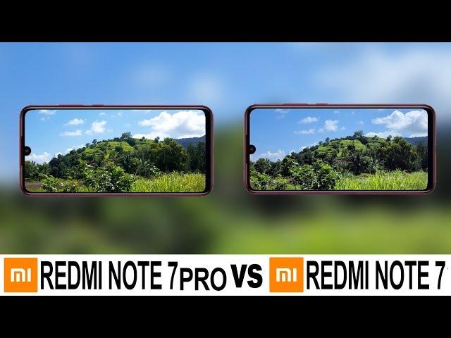 Redmi Note 7 Pro Vs Redmi Note 7 Camera Test