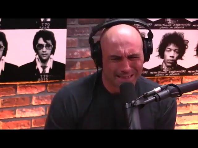 Joe Rogan on having no direction in life (JRE #941)