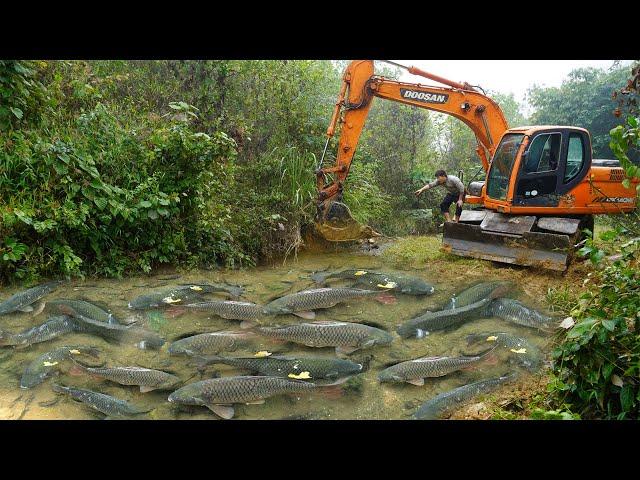 Full Video Fishing Exciting: Use Large Excavator Catch Many Of Fish, Capacity Pump Suck Water