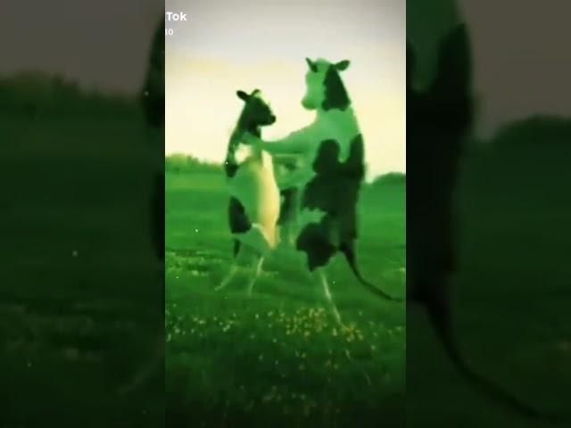 عبودي بودي بودي الي اسمه عبودي بودي خلي يكتب بلتعليقات