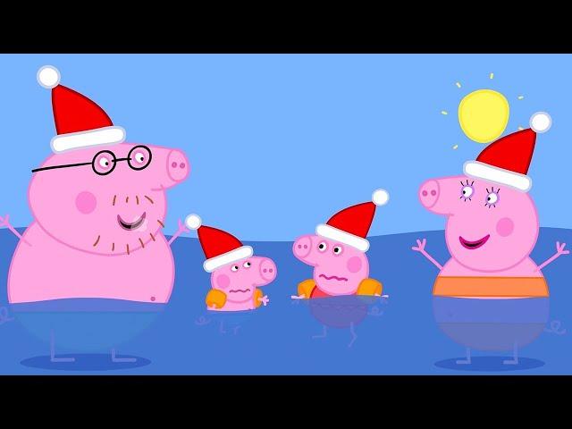 The Christmas Morning Swim ️ Best of Peppa Pig  Cartoons for Children