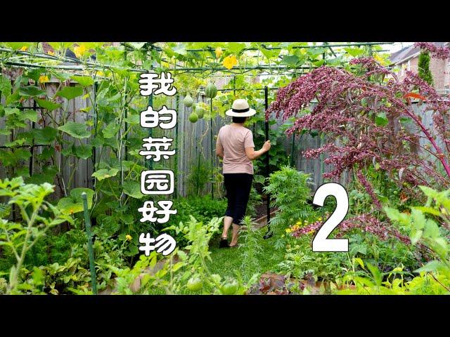 我的菜园好物 2（QUALITY PRODUCTS FROM MY VEGETABLE GARDEN）