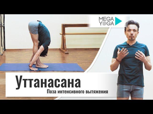 Уттанасана - Поза интенсивного вытяжения