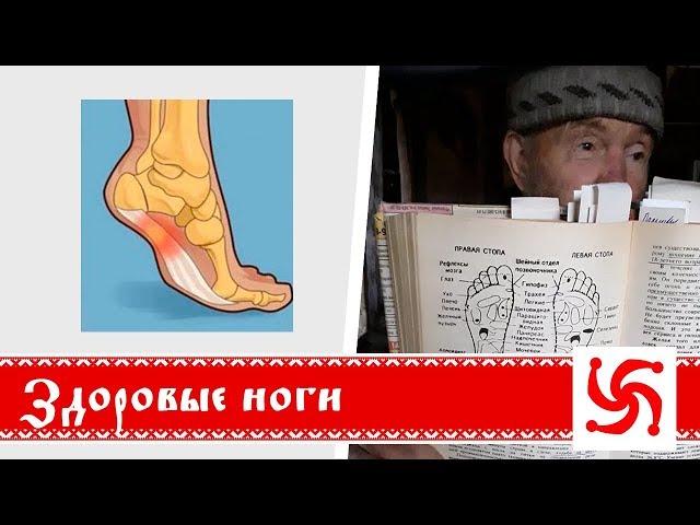 Здоровые ноги! Как заботиться о ногах?