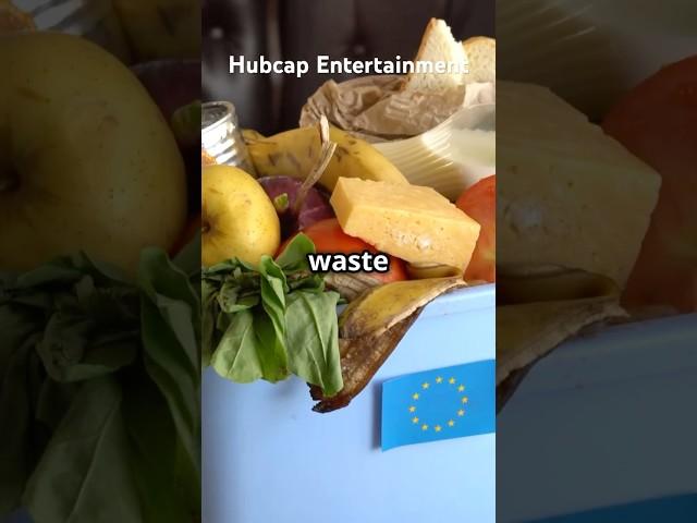 The Shocking Truth About Food Waste in the U.S.