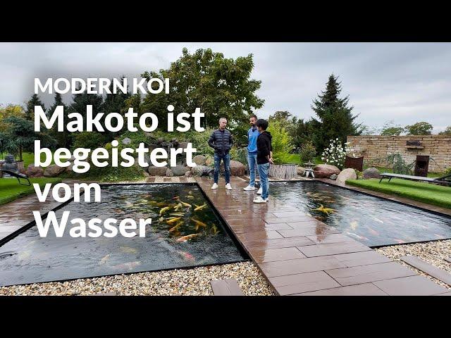 Makoto zu Besuch bei Matze von Koi Zossen | Modern Koi Blog #6919