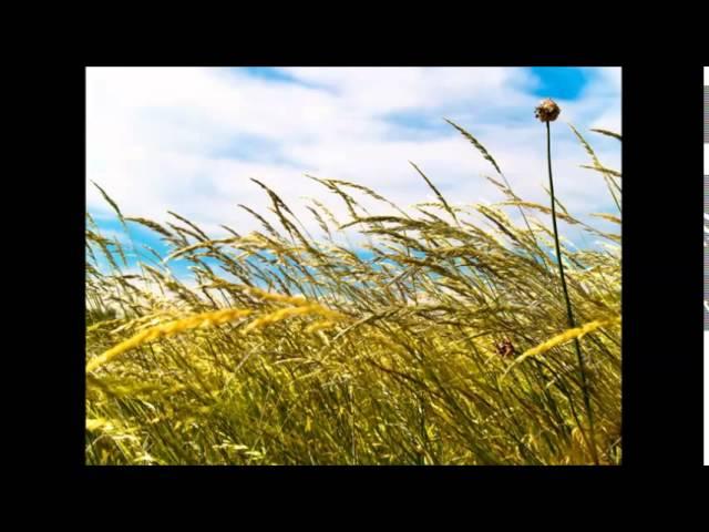 Tiefenentspannung - Stress abbauen - Hypnose - Meditation