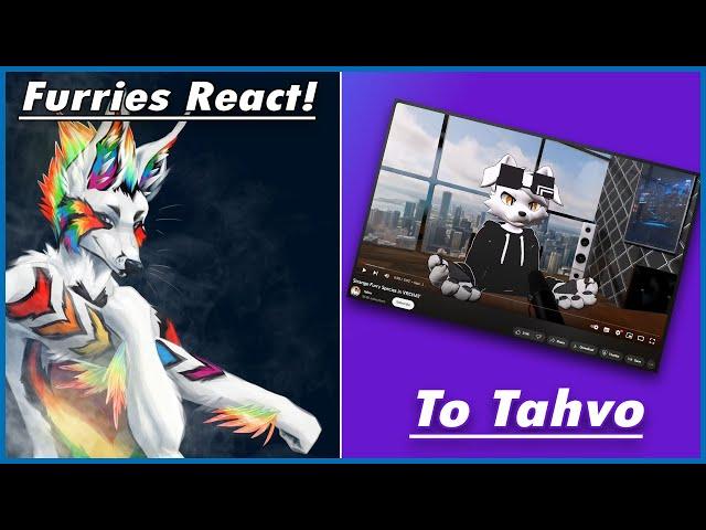 Furries React - Tahvo Strange Furry Species