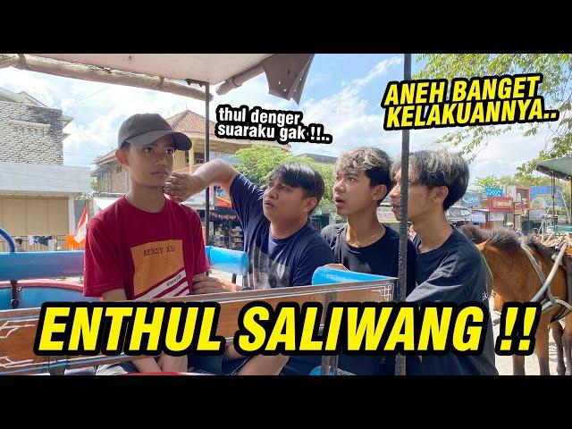 BENARKAH ENTHUL DITEMPELI JIN ?? kok jadi saliwang gini ya