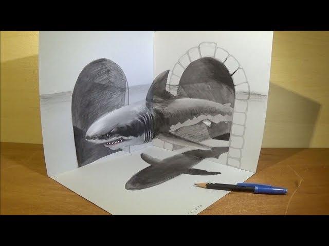 Drawing a White Shark Illusion - 3D Trick Art - Vamos